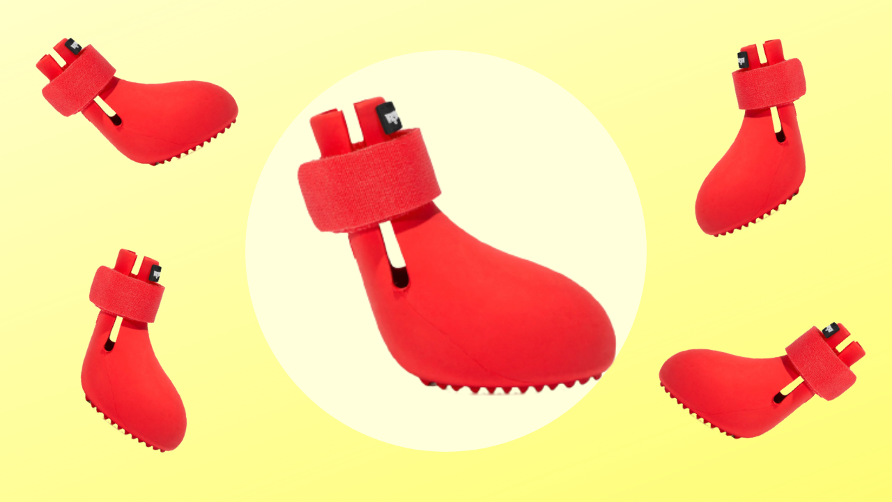 WagWellies product photo composite