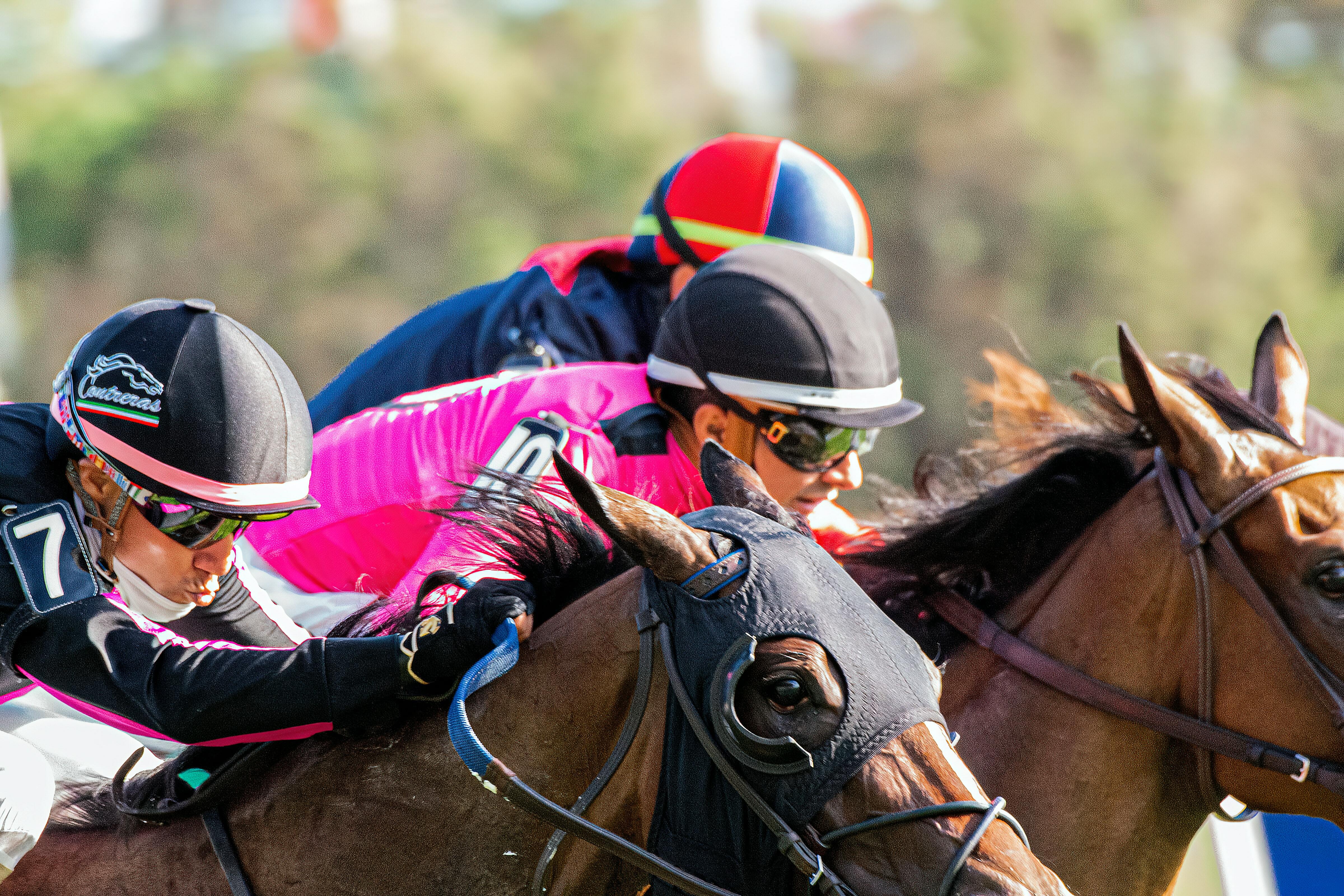 Horses racing