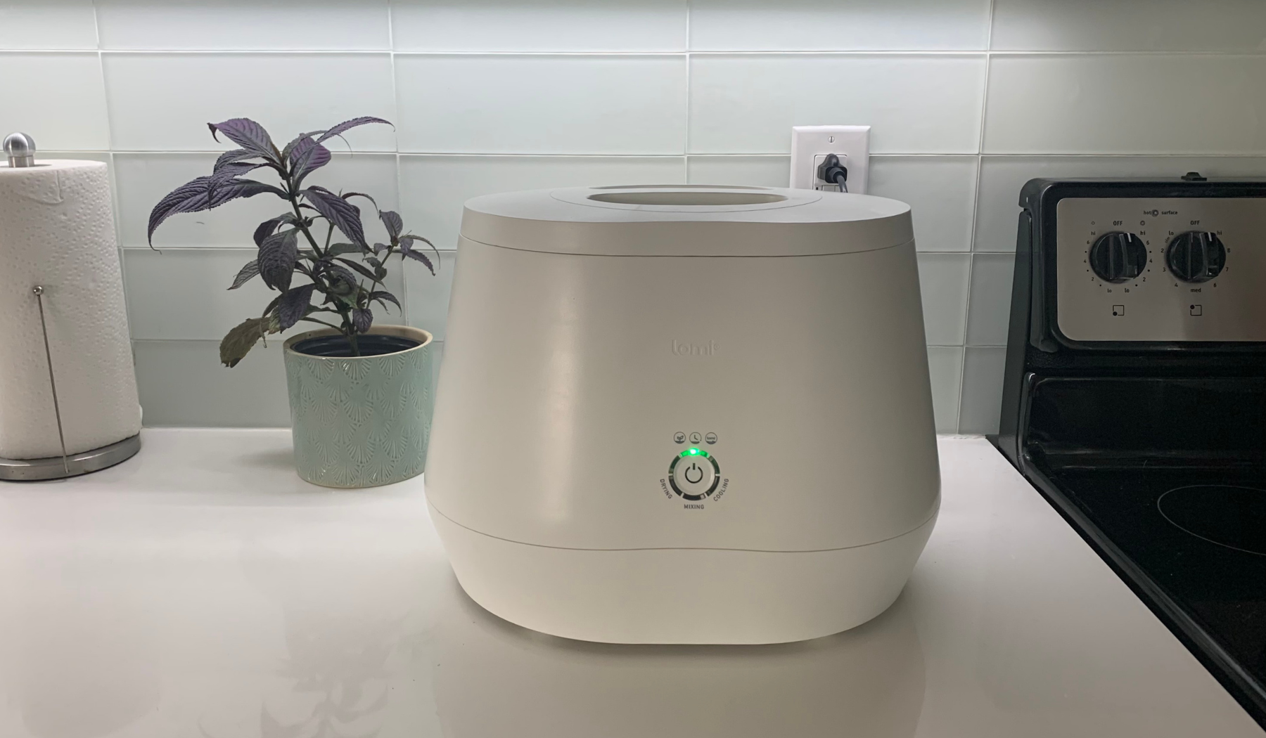 Lomi composter on kitchen counter with plant in the background