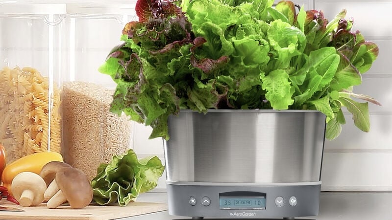 aerogarden harvest elite growing lettuce on kitchen counter