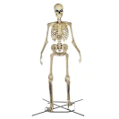 the 12-foot home depot skeleton on its base