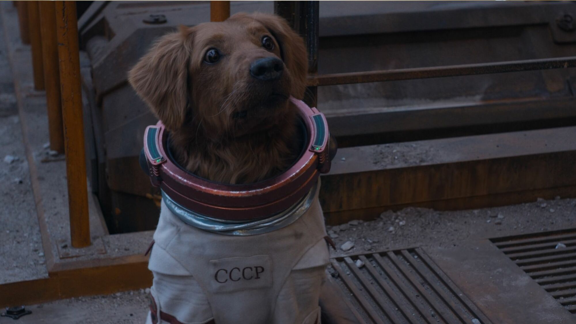 Dog in a spacesuit in "Guardians of the Galaxy Vol. 3."