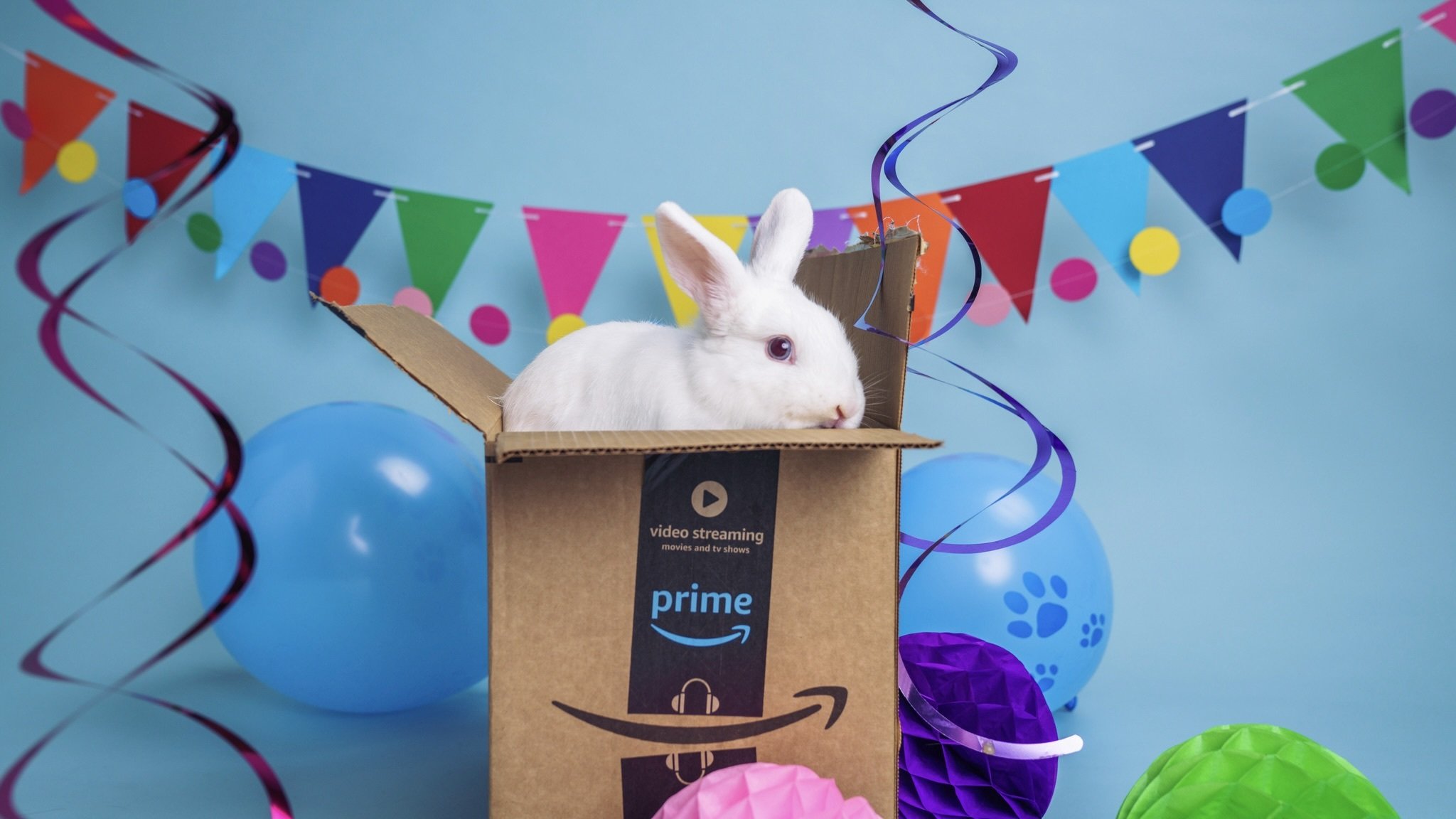 bunny in an amazon prime box in front of a balloons and confetti