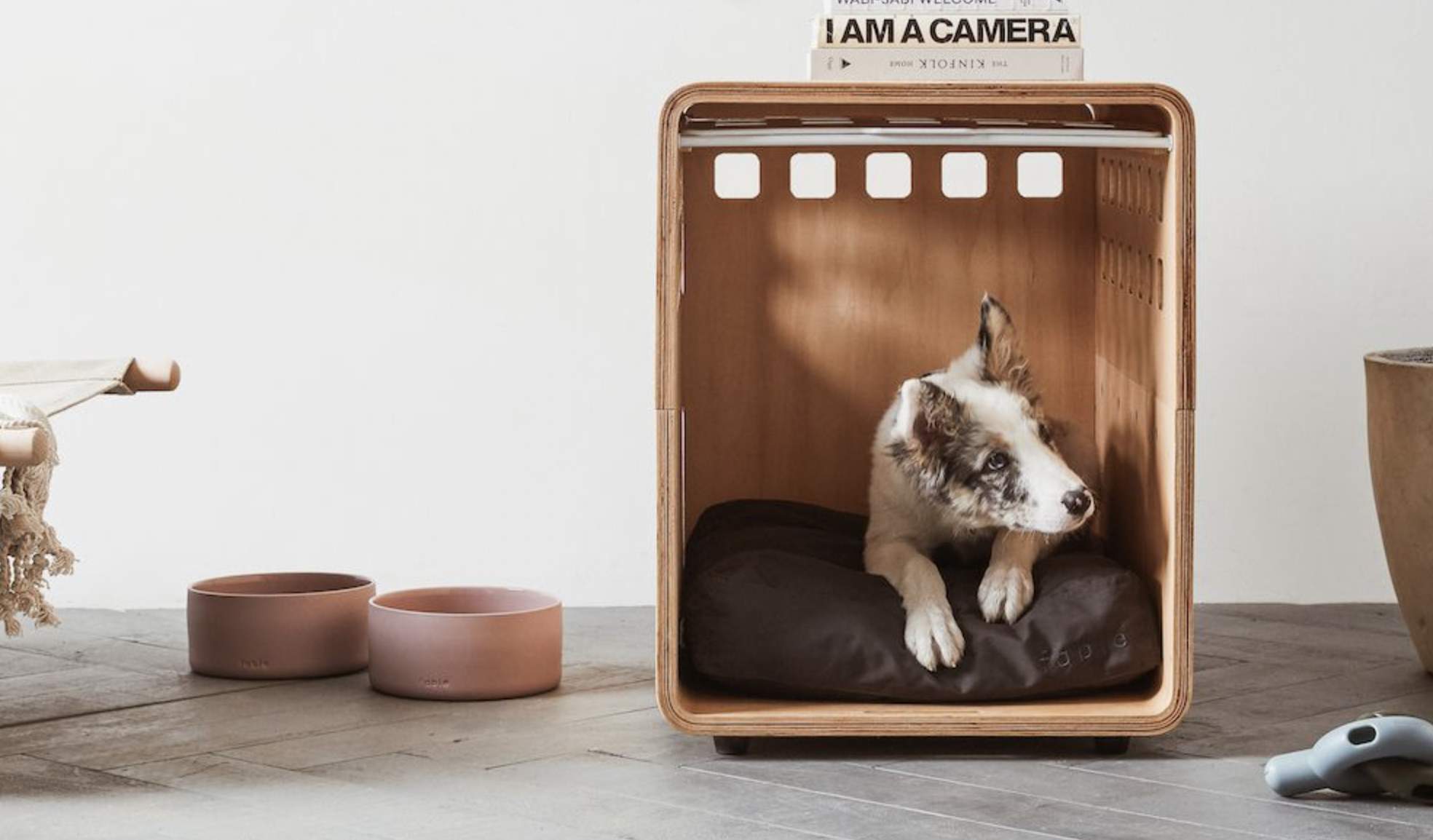 fable pet crate
