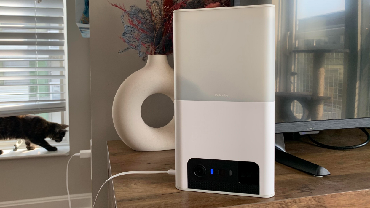 Petcube Bites 2 Lite on countertop