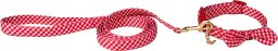 red gingham collar and leash