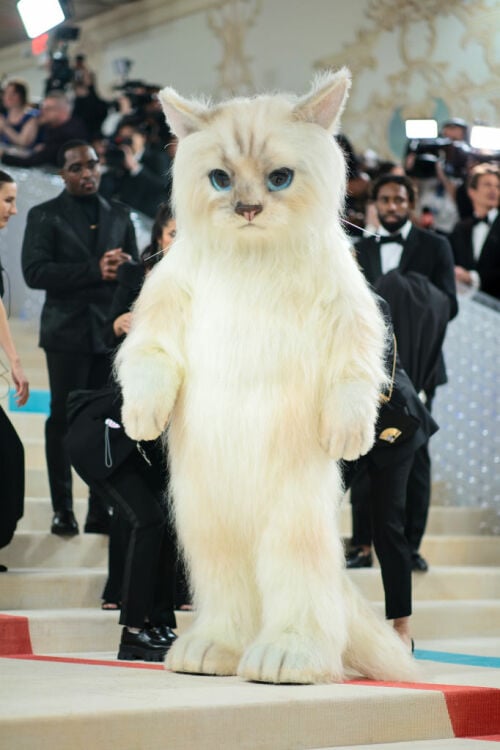 Jared Leto, dressed as Choupette, attends The 2023 Met Gala Celebrating "Karl Lagerfeld: A Line Of Beauty" at The Metropolitan Museum of Art on May 01, 2023 in New York City.