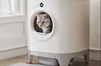 Cat inside self-cleaning litter box