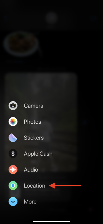 Red arrow pointing to vocation in iOS