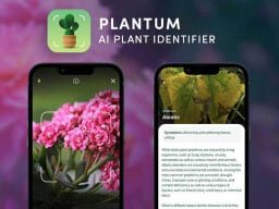 Plant identifying app.