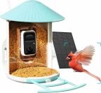 NETVUE Birdfy Smart Bird Feeder