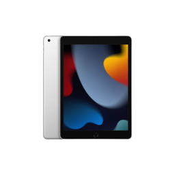 10.2-inch Apple iPad (9th gen)