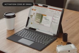 Microsoft Office Professional Plus 2019 for Windows