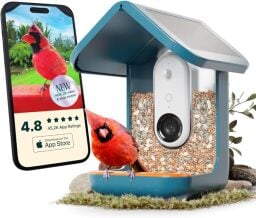 Smart bird feeder with bird on perch and smartphone showing camera view in app