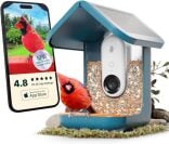 Smart bird feeder with bird on perch and smartphone showing camera view in app